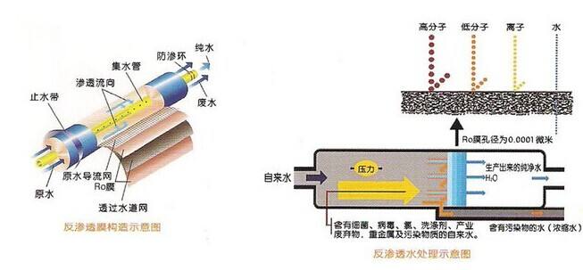 不锈钢反渗透大香蕉国产在线视频